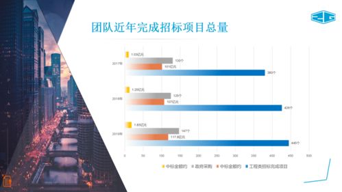 中冠咨询 专业招标代理与政府采购服务，及信息技术咨询解决方案